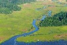 cape-fear-river-slide1