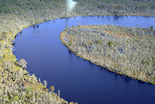 Bend in Cape Fear River