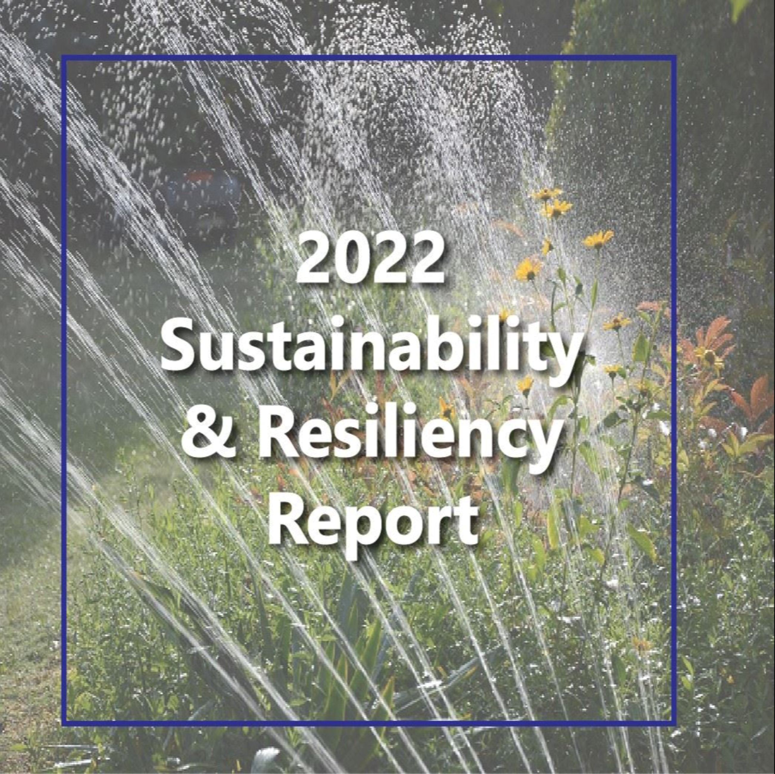 2022_Illustrator_Website Tile Opens in new window